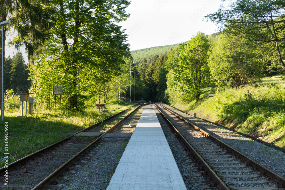 railroad track winding through green summer forest