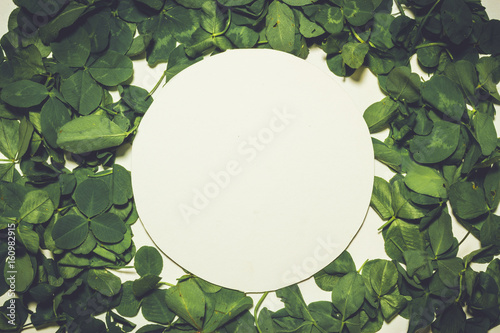 Creative layout made of clover green leaves. Flat lay. Nature background