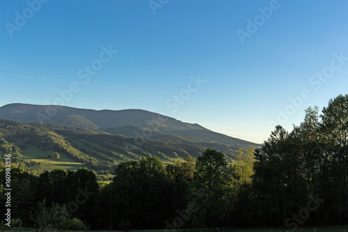 Summer landscape of young green forest with bright blue sky © Roman's portfolio