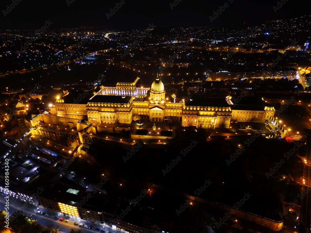 Budapest Castle at Night from top
