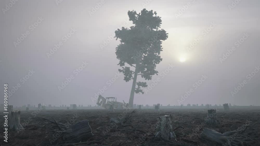 Tree Falling