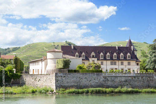 Chateau in Ampuis, Auvergne-Rhône-Alpes