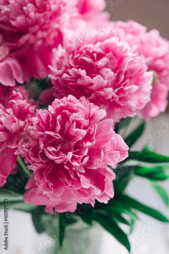 Beautiful bouquet of pink peonies. Flowers background