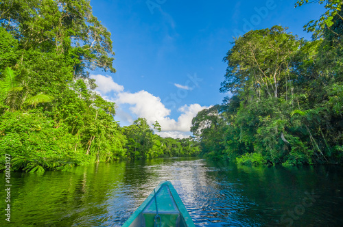 Travelling by boat into the depth of Amazon Jungles in Cuyabeno National Park, Ecuador photo