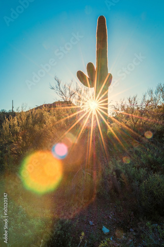 Desert Morning with Sun Flair