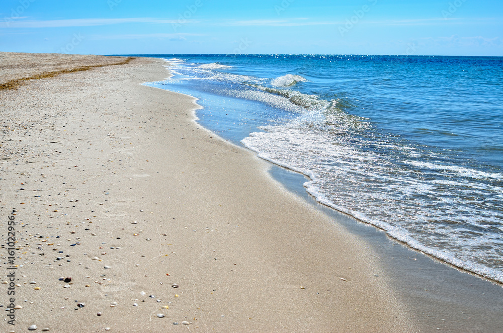Sea waves washed clean beach made of shells. Landscape on a wild beach. The sea in the summer. Sea waves washed clean beach made of shells. Landscape on a wild beach. The sea in the summer.