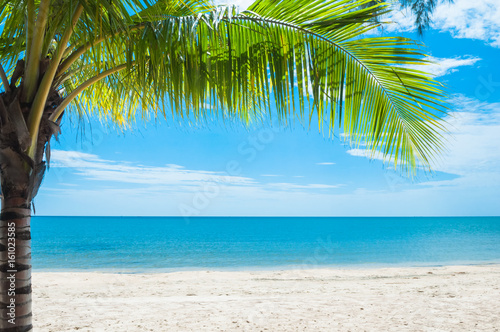 Beautiful tropical beach with coconut tree palm