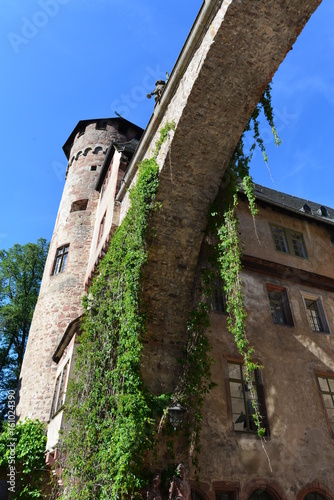 Schloss Fürstenau in Michelstadt Südhessen photo