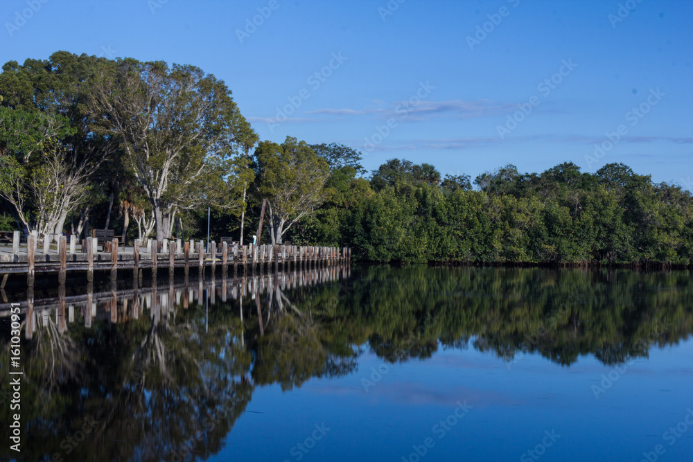 The Everglades The Everglades