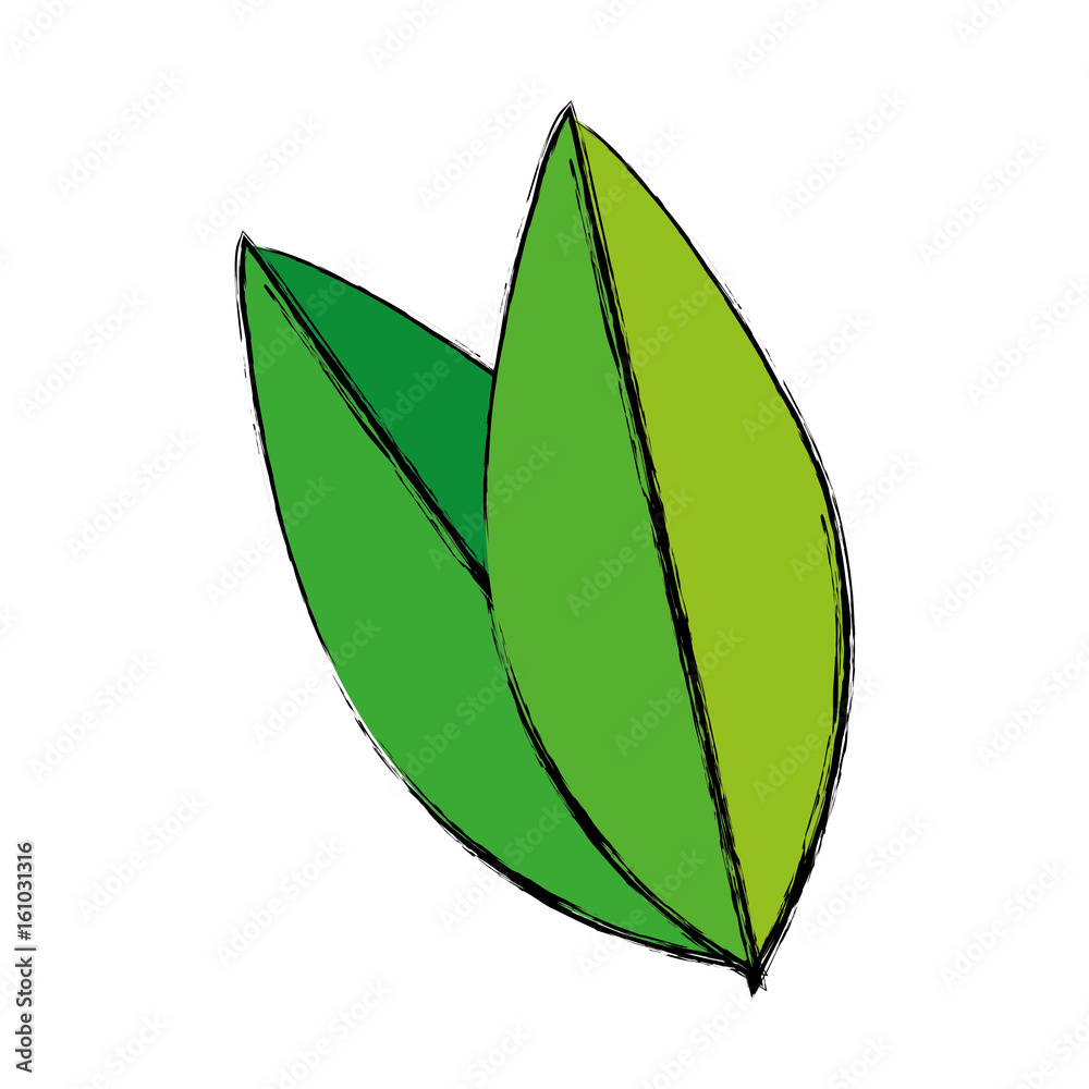 leaves icon image leaves icon image