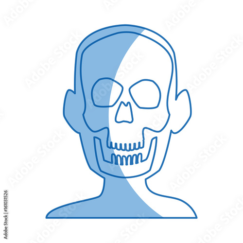 xray of head bone structure of human medical health vector illustration