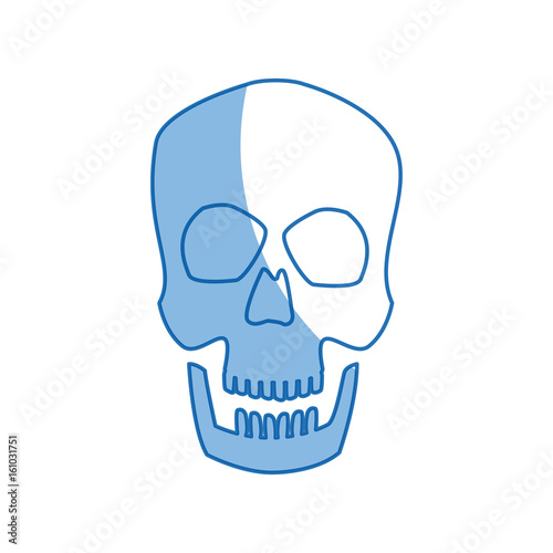 human skull male medical biology science vector illustration