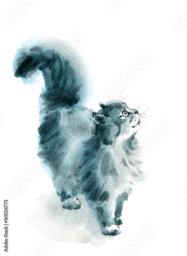 Fototapeta Naklejka Na Ścianę i Meble -  Watercolor Cat Looking Up Hand Drawn Pet Portrait Animal Illustration 