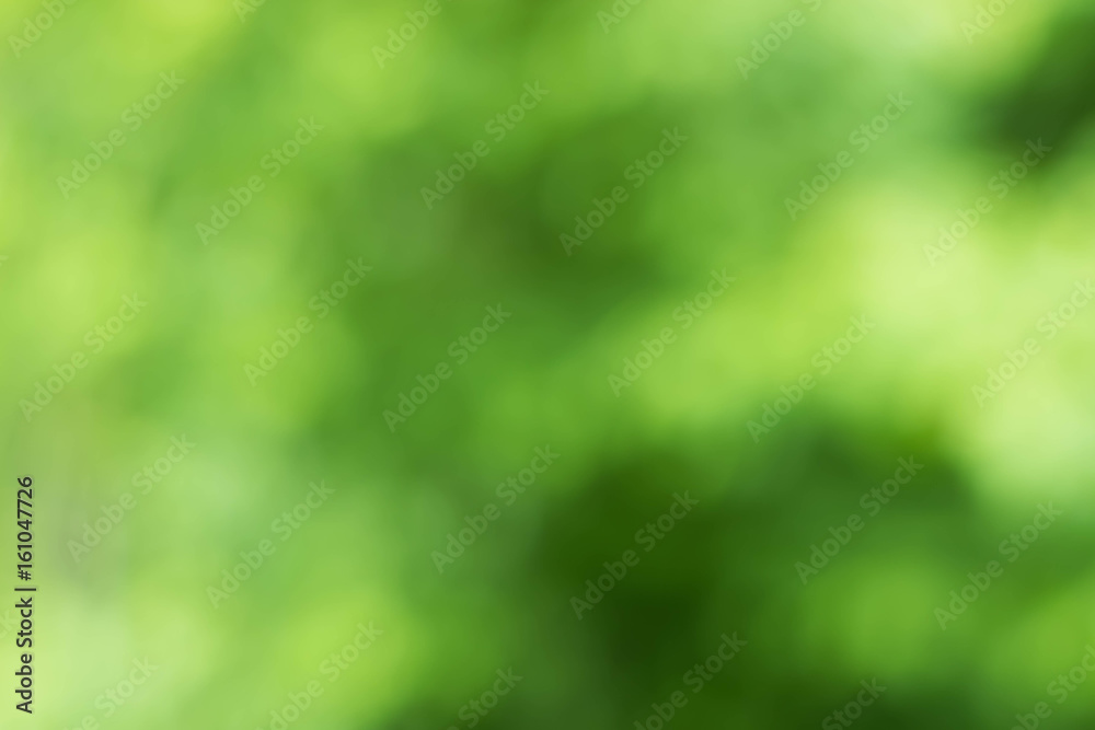 Natural green background blur. Natural green background blur.