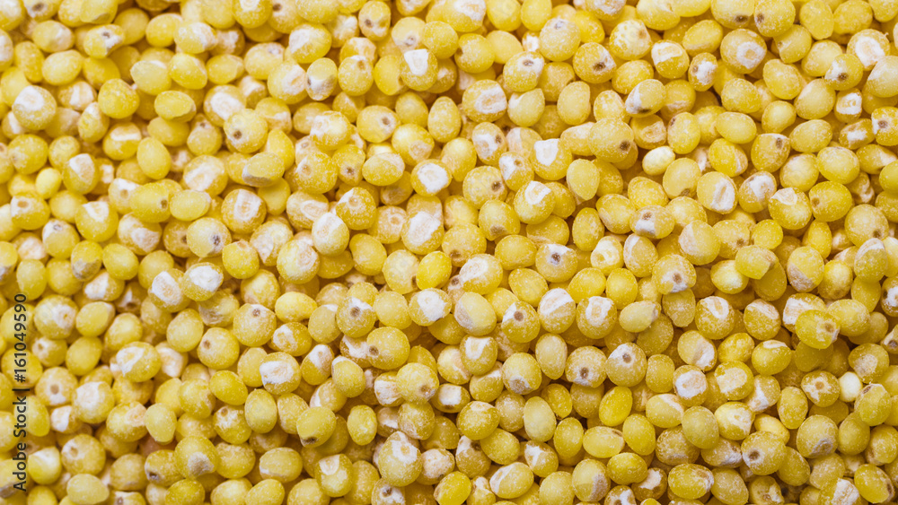 Millet groats as food background Millet groats as food background