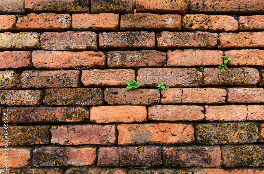brick wall, background brick wall, background