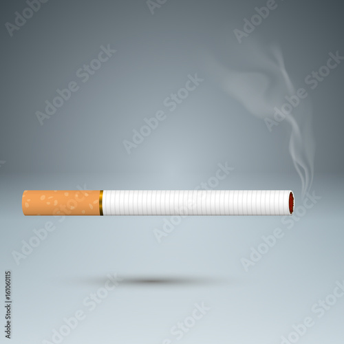 Harmful cigarette, viper, smoke, business infographics.