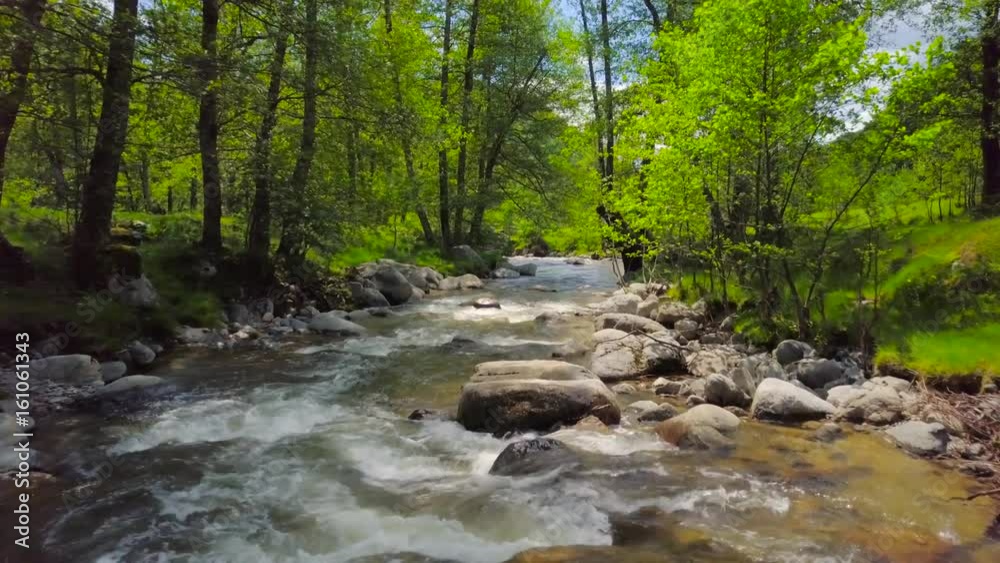 Flying over Mountain River with Green Vegetation. Flying over Mountain River with Green Vegetation.
