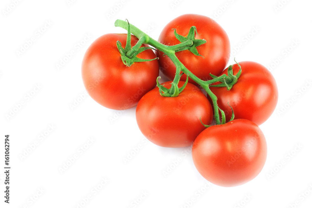tomato isolated on white background tomato isolated on white background