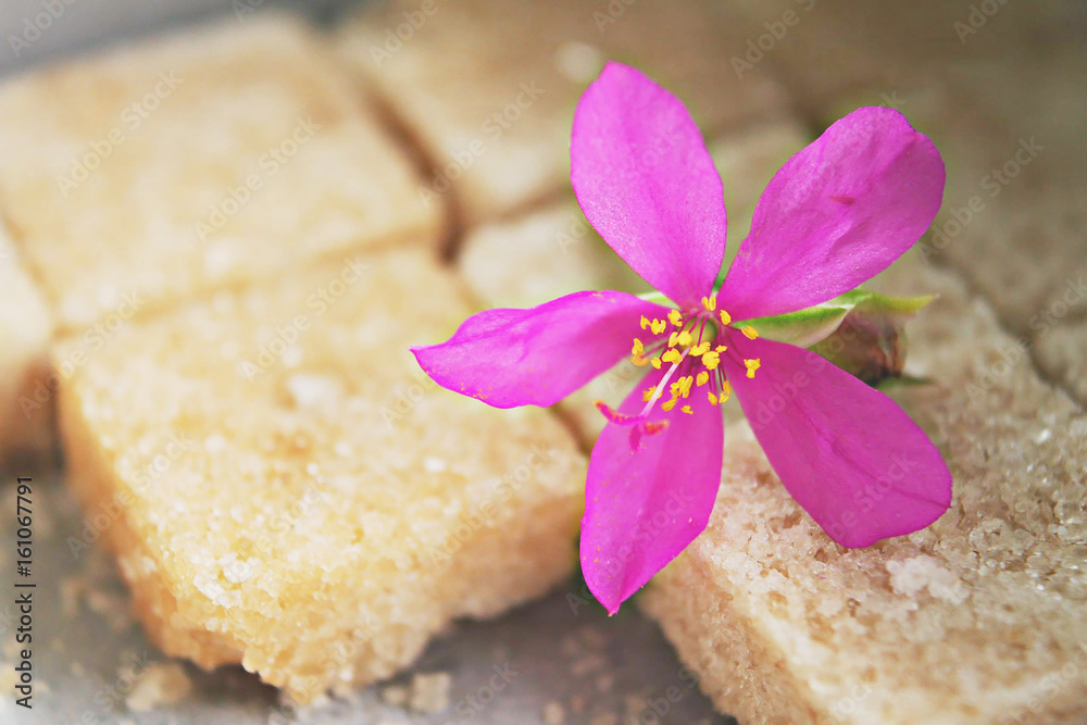 Abstract soft blurred and soft focus of Talinum paniculatum Gaertn, Portulacaceae, flower on the surface texture of sugar background. Abstract soft blurred and soft focus of Talinum paniculatum Gaertn, Portulacaceae, flower on the surface texture of sugar background.