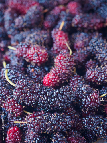 fresh mulberry closeup background