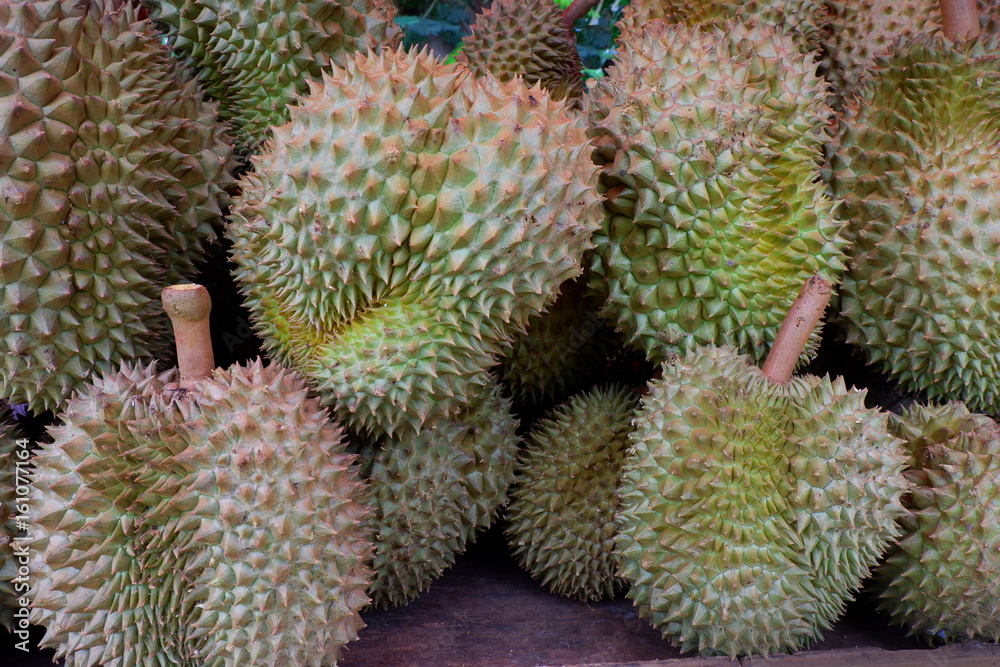Durian, King of Tropical Fruits in Thailand. Durian, King of Tropical Fruits in Thailand.