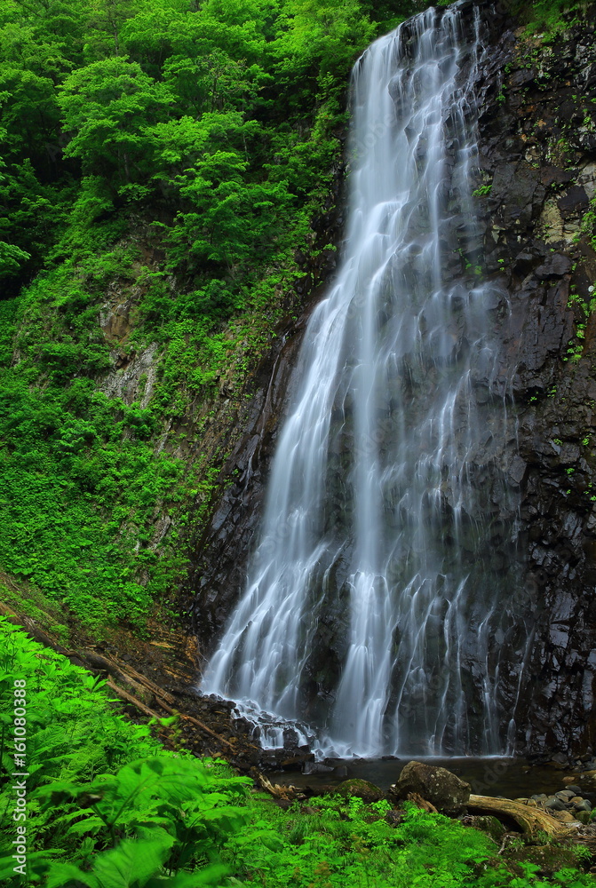 夏の立又渓谷 一の滝 夏の立又渓谷 一の滝