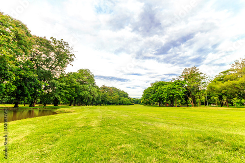 Beautiful park scene in park with green grass field, green tree plant and a party cloudy blue sky