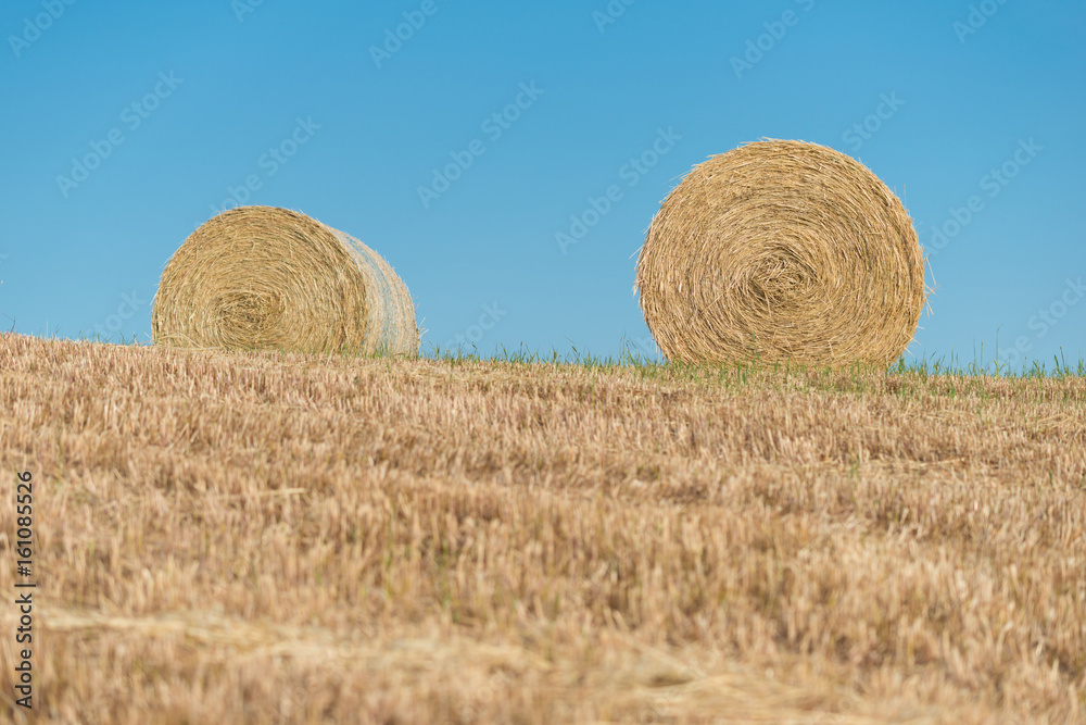 Rural landscapes of Tuscany, Italy, Europe, Rolls of haystacks on the field. Summer farm scenery with haystack on the background of beautiful sunset, Agriculture Concept, Harvest concept Rural landscapes of Tuscany, Italy, Europe, Rolls of haystacks on the field. Summer farm scenery with haystack on the background of beautiful sunset, Agriculture Concept, Harvest concept