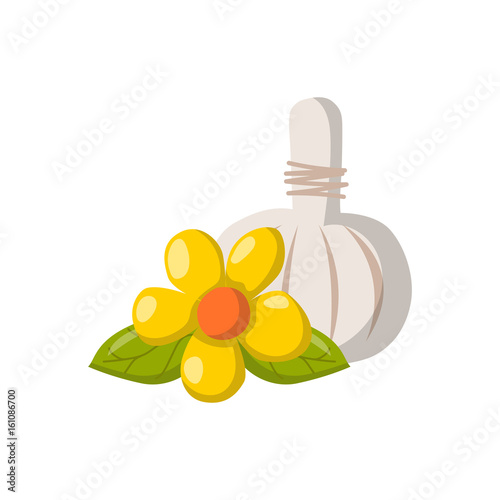 Vector cartoon ayurveda massage objects
