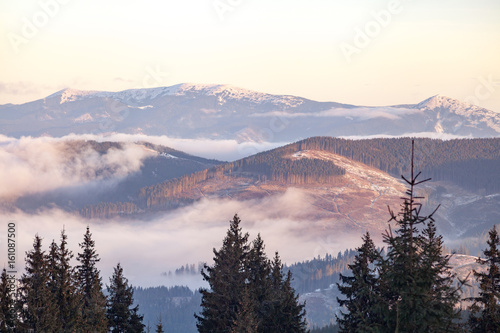 Autumn scenery of the Carpathian Mountains in Ukraine. Trees overcast fog.