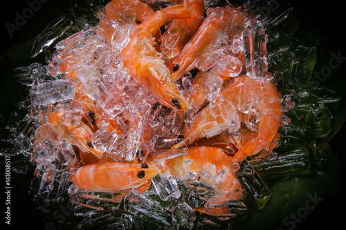 Frozen shrimp with ice cubes on a wood background