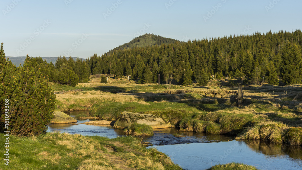 Obraz premium Nice landscape full of trees, lakes and meadows with clear blue sky.
