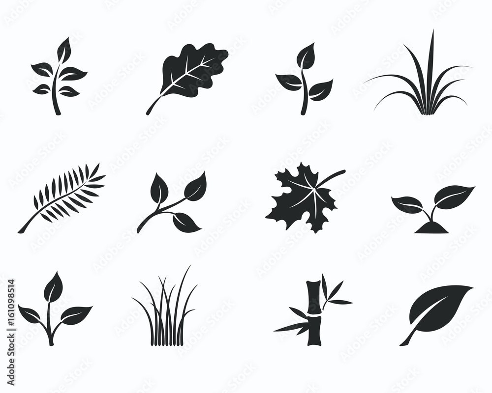 Black monochrome floral icon set Black monochrome floral icon set