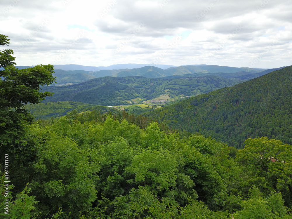 Fototapeta premium Luftbild Naturpark Vogesen, Elsass Frankreich
