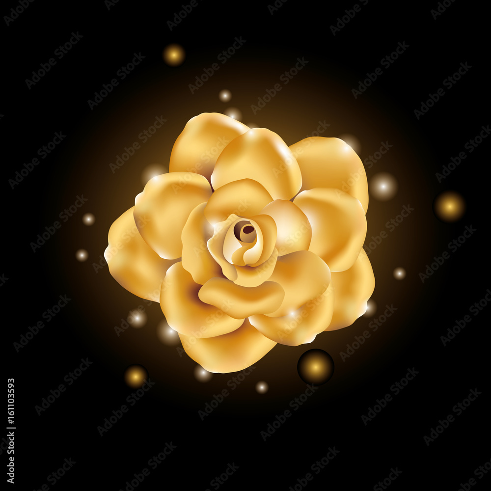 Obraz premium Gold shine flower
