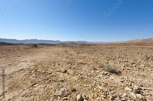 Landscape of the desert in Israel