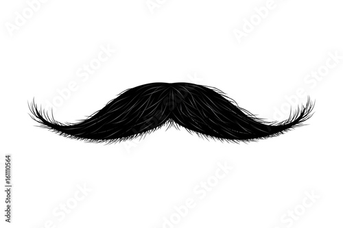 Moustache isolated on white. Vector illustration.