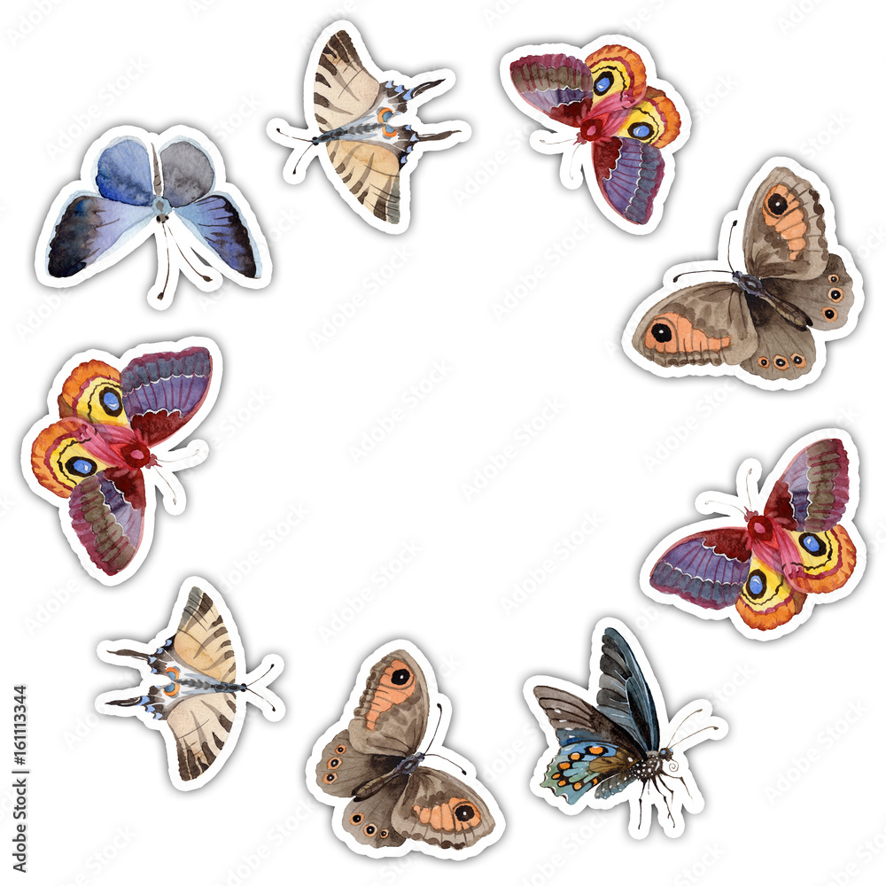 Obraz premium Watercolor butterfly frame tender insect, intresting moth, isolated wing illustration. Butterfly names: swallowtail, monarch, queen. Aquarelle for background, wrapper pattern, frame or border.