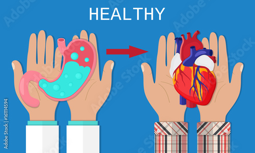 Healthy lifestyle concept. Doctor hold heathy stomach. Person keep heathy heart. Flat style. Vector illustration