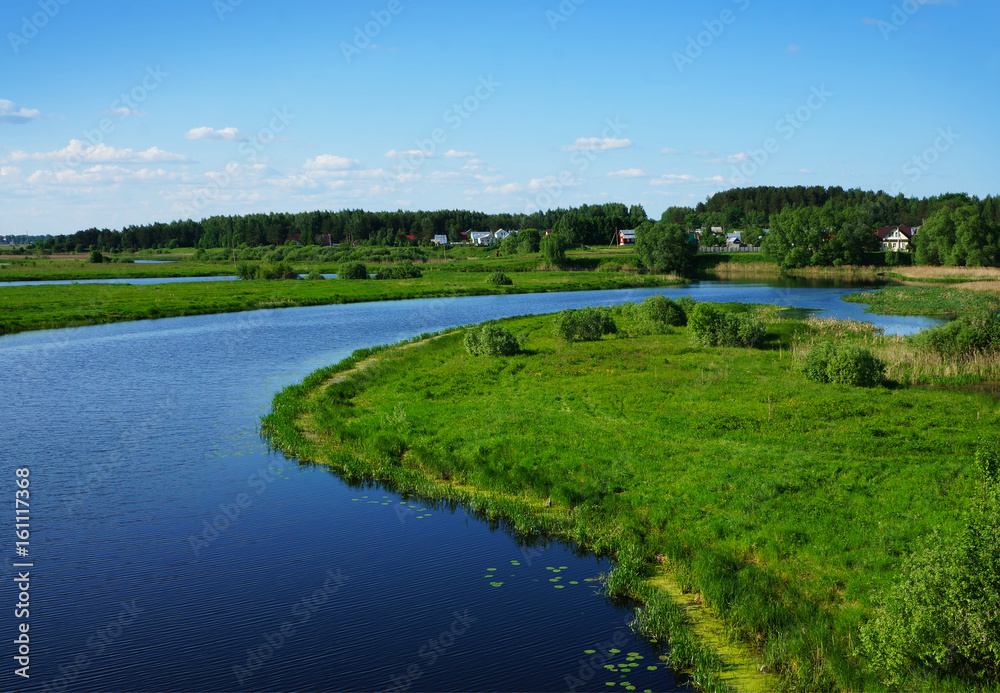 Summer landscape, river