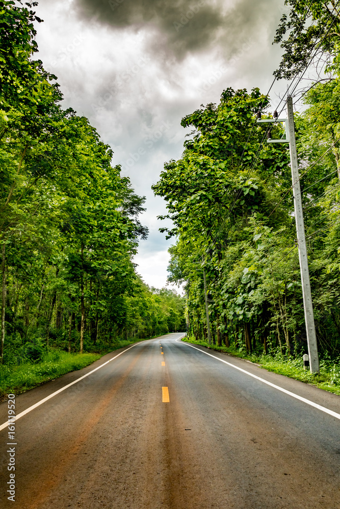 Asphalt country road