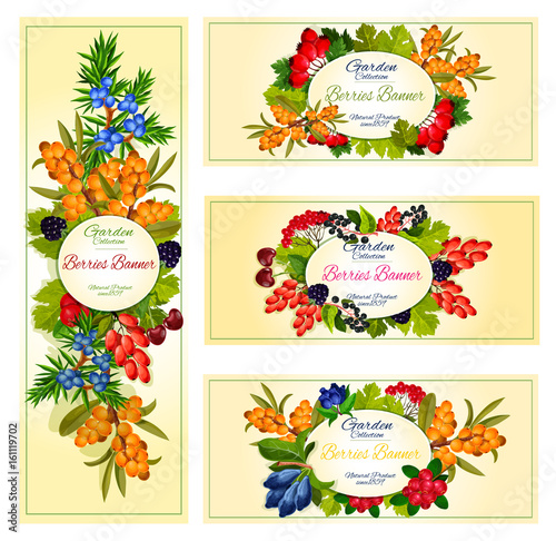 Vector wild berries and fruits banners set