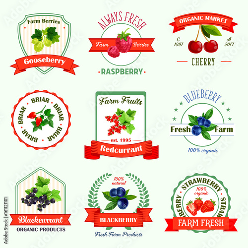 Berries vector icons for berry product labels