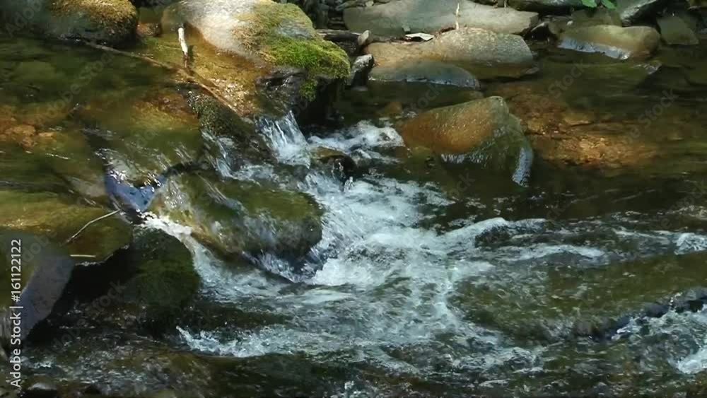 Mountain River water flowing on the stones. Forest. Splatter. Mountain River water flowing on the stones. Forest. Splatter.