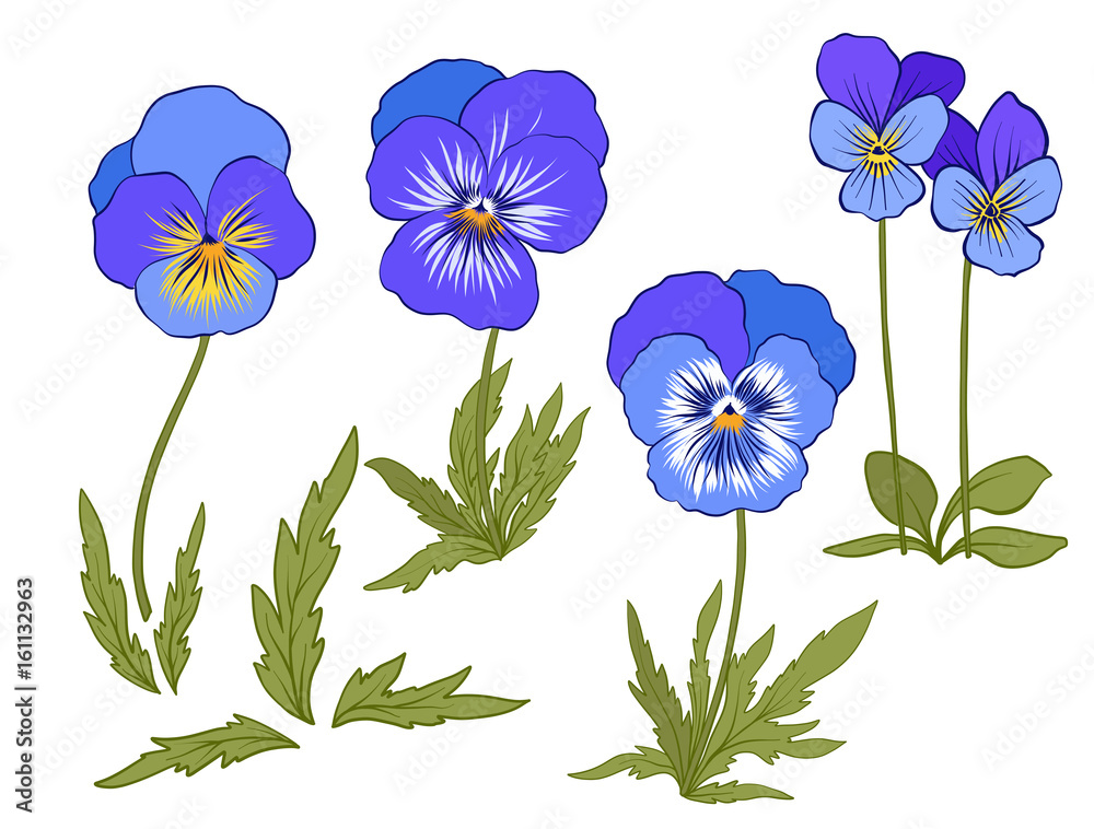 Violet flowers. Set of colored flowers.
Stock line vector illustration.