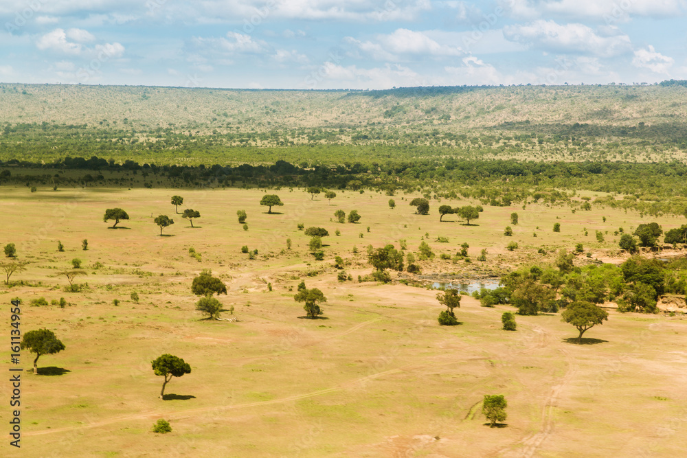 maasai mara national reserve savanna at africa