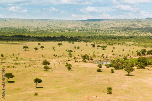 maasai mara national reserve savanna at africa