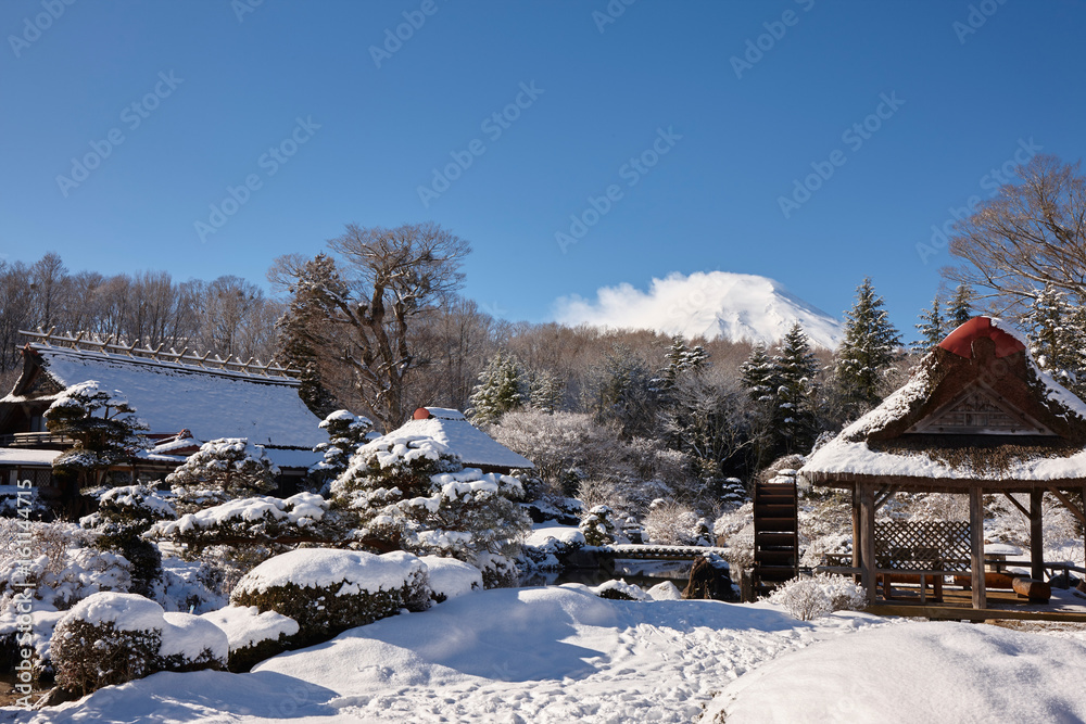 Obraz premium 雪の忍野八海