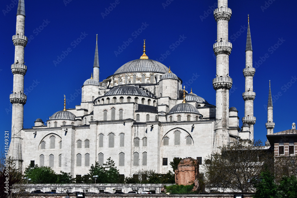 Obraz premium Sultan Ahmed Mosque or Blue Mosque in Istanbul, Turkey